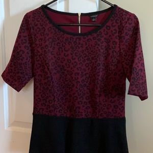 Ladies Ann Taylor top.